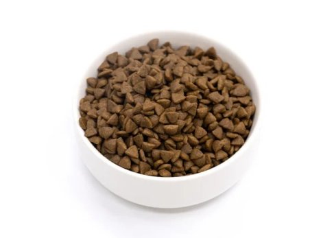 Precision Nutrition Extruded Kibble