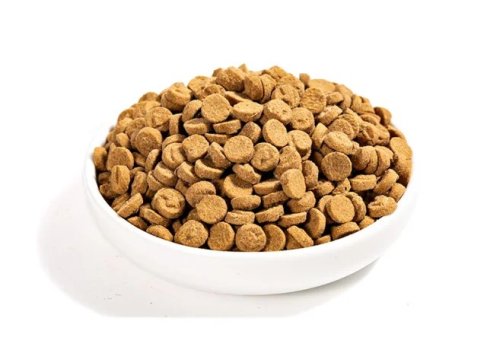 Slow-Baked Kibble